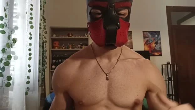 Frabroker Live 11-05-2026 Gay Cam Porn Topless