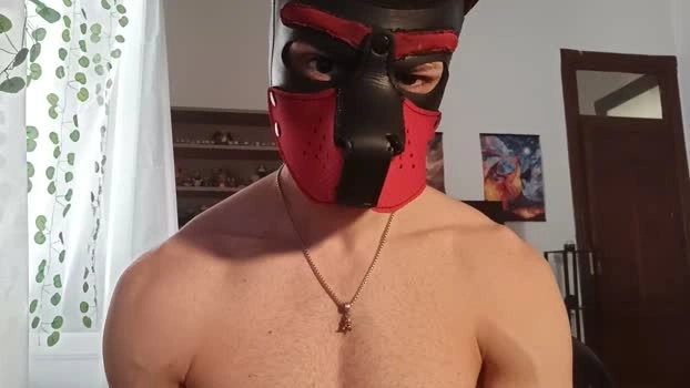 Frabroker Live 15-05-2026 Gay Cam squirt ass