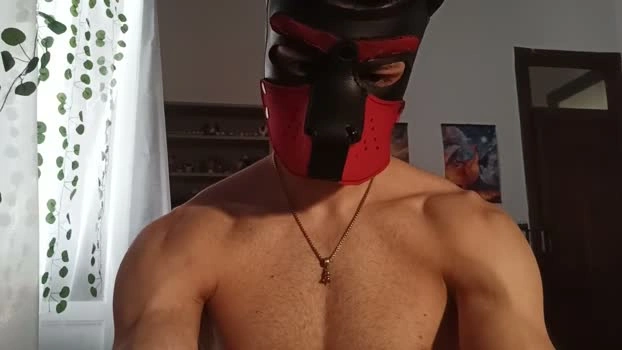 Frabroker Live 15-05-2026 Gay Cam lovense juicy