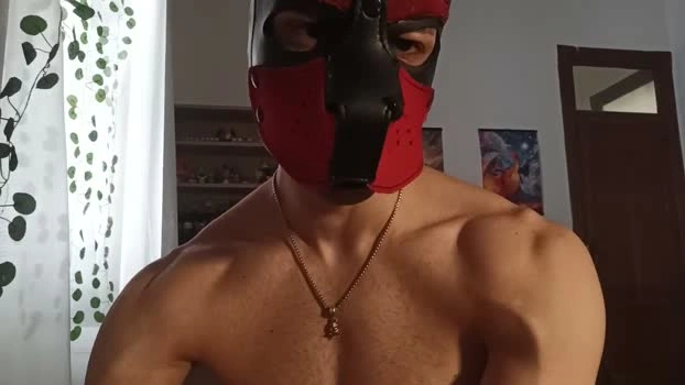 Frabroker Live 15-05-2026 Gay Cam orgasm harddick