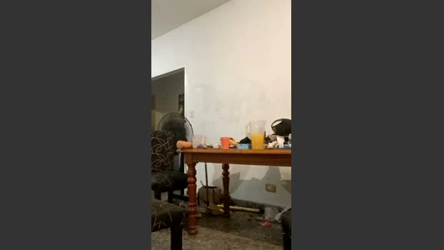 FedeZen Live 19-05-2026 Gay Cam Recorded jerking
