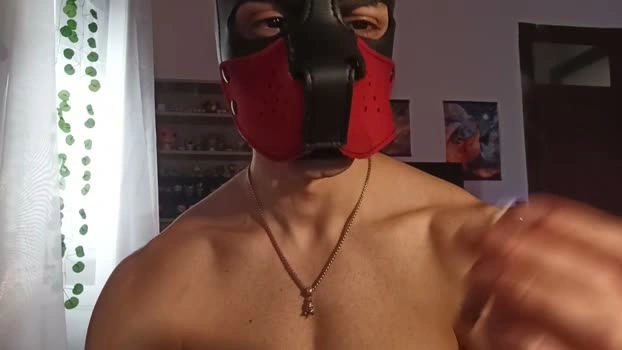 Frabroker Live 20-05-2026 Gay Cam dirty hot