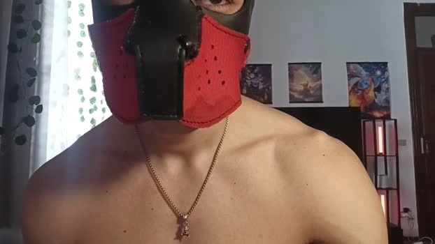 Frabroker Live 22-05-2026 Gay Cam big bigload