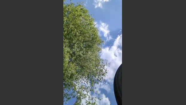 Lienlingsidiot Live 23-05-2026 Gay Cam fingering ass
