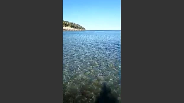 batuffolo3 Live 23-05-2026 Gay Cam XXX deepthroat