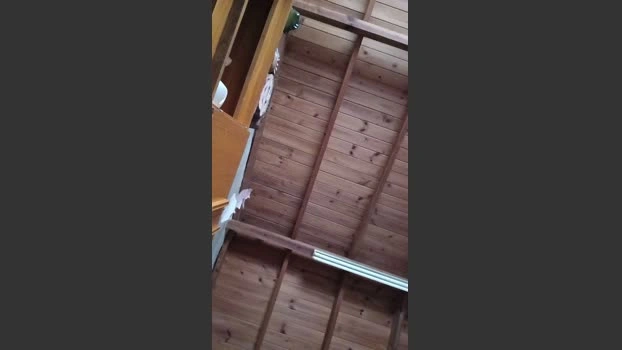 gabilopezxxx Live 23-05-2026 Gay Cam yummy gag