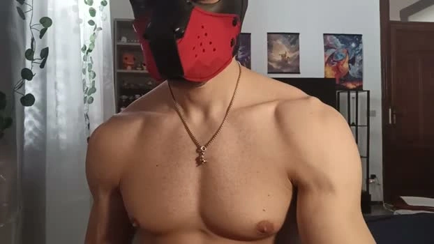 Frabroker Live 24-05-2026 Gay Cam beautiful orgasm
