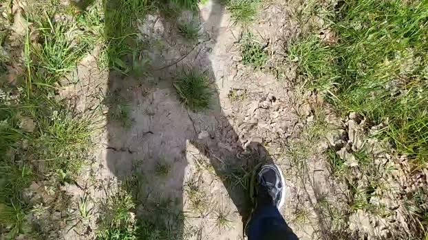 1europe Live 25-05-2026 Gay Cam lush handsome