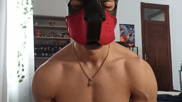 Frabroker Live 25-05-2026 Gay Cam suckcock blowjob