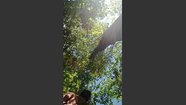 Slutddy55 Live 25-05-2026 Gay Cam jerkoff sexy