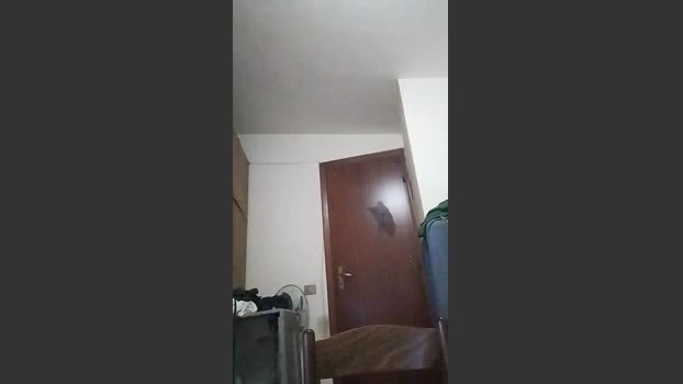 casertaxxx Live 25-05-2026 Gay Cam bj-dildo sexybody