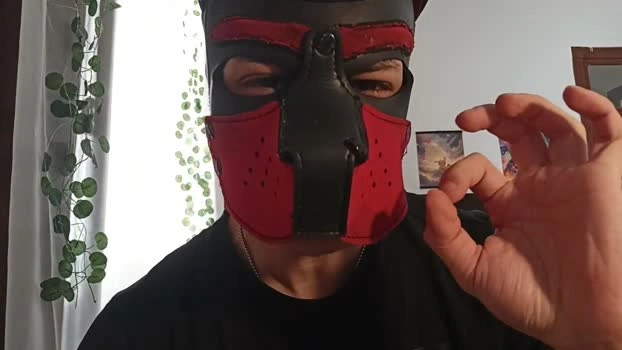 Frabroker Live 26-05-2026 Gay Cam toy suckshow