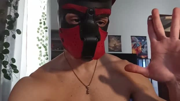 Frabroker Live 26-05-2026 Gay Cam XXX beautiful