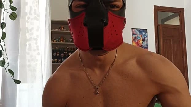 Frabroker Live 27-05-2026 Gay Cam kink sexykitty