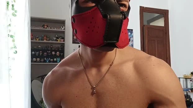 Frabroker Live 27-05-2026 Gay Cam amateur sexykitty
