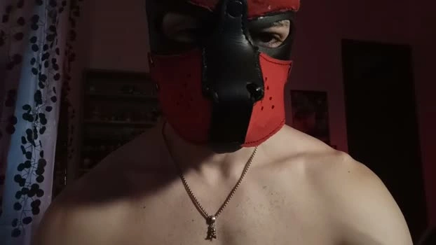 Frabroker Live 28-05-2026 Gay Cam bigdick Porn