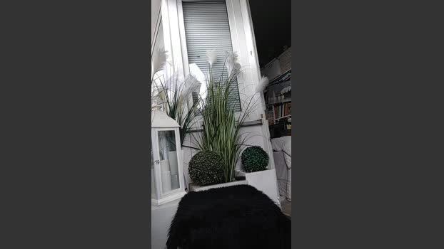 Smoft23 Live 01-06-2026 Gay Cam Gay kiss