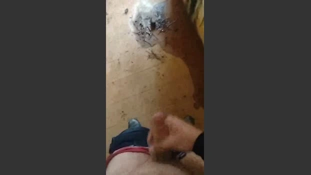 douglas533 Live 01-06-2026 Gay Cam moan lick