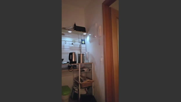 Doperman Live 03-06-2026 Gay Cam Topless sex