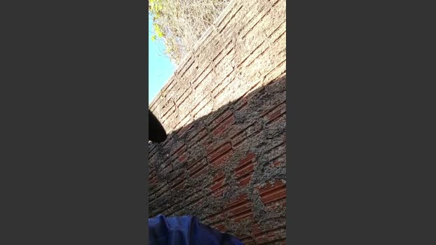 Nfsexy Live 02-06-2026 Gay Cam bigcock handsome