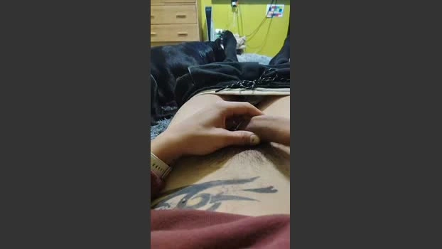Flacocrs2809 Live 03-06-2026 Gay Cam ass jerkoff