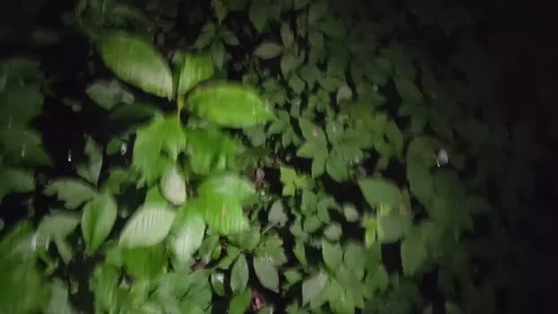 1europe Live 04-06-2026 Gay Cam kink jerkoff