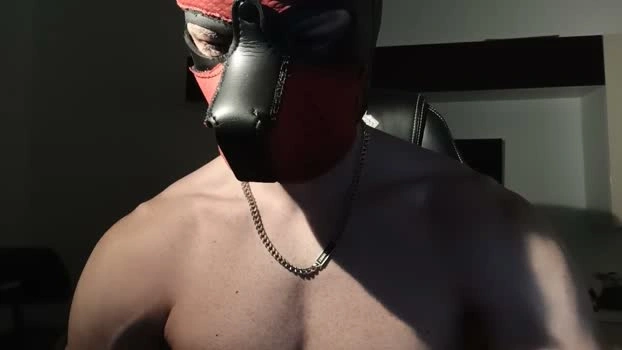 Frabroker Live 05-06-2026 Gay Cam bigtoys suckcock