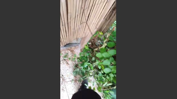 tomsauwer Live 06-06-2026 Gay Cam juicy natural