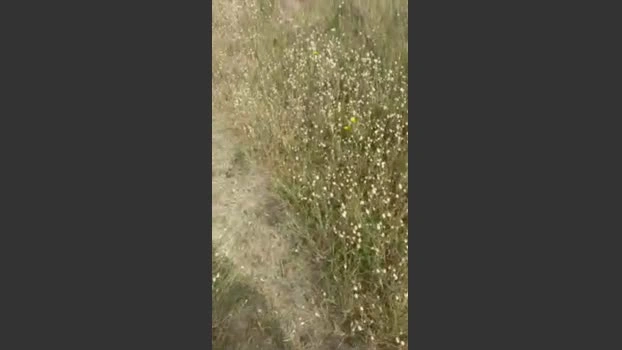 Muludu Live 10-06-2026 Gay Cam orgasm play