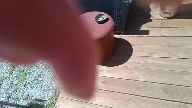 sniffetto87 Live 11-06-2026 Gay Cam Ass blowjob
