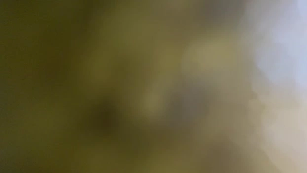 BIGONEPD26