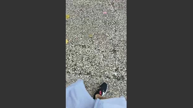 Sexylatinogay Live 15-06-2026 Gay Cam hardcock analsex