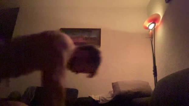 Sexgeill Live 17-06-2026 Gay Cam lovense suckshow