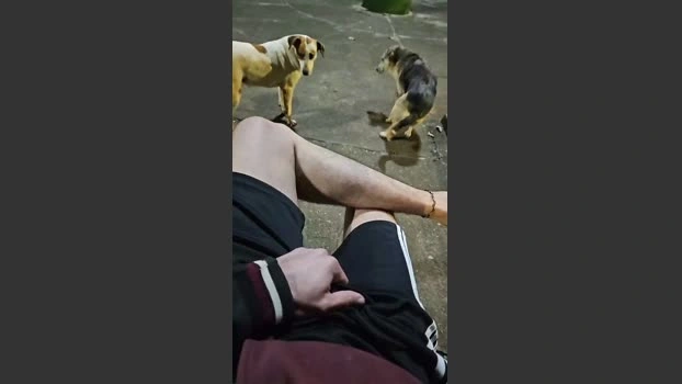 lessvent Live 18-06-2026 Gay Cam bigballs jerkoff