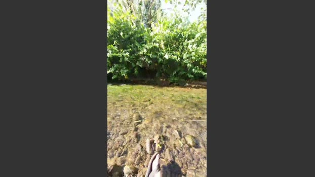 Legtiste Live 19-06-2026 Gay Cam striptease XXX