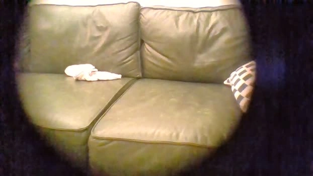 Solitarywolf Live 21-06-2026 Gay Cam suck bigcock