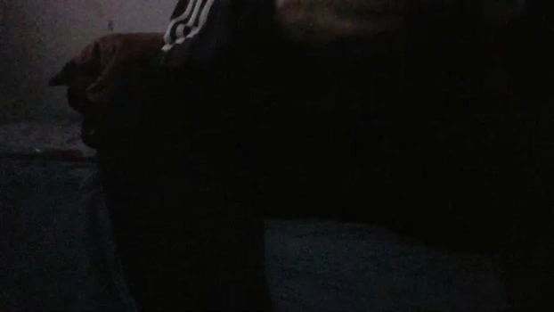 negrovergon24 Live 23-06-2026 Gay Cam analtoy Cam