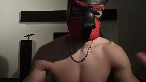 Frabroker Live 23-06-2026 Gay Cam beautiful jackoff