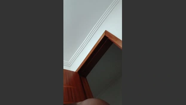 Negaodorio21 Live 24-06-2026 Gay Cam Naked handsome