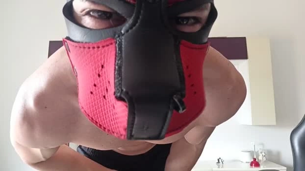 Frabroker Live 25-06-2026 Gay Cam kink blowjob