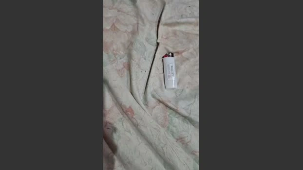 leontiff_ Live 25-06-2026 Gay Cam blowjob hard