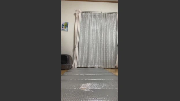 takahisa Live 25-06-2026 Gay Cam sexybody fuck