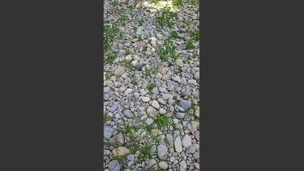 Kobold62 Live 26-06-2026 Gay Cam fuckher lick