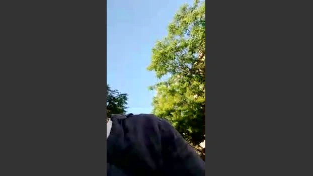 Mgpereira Live 25-06-2026 Gay Cam moan big