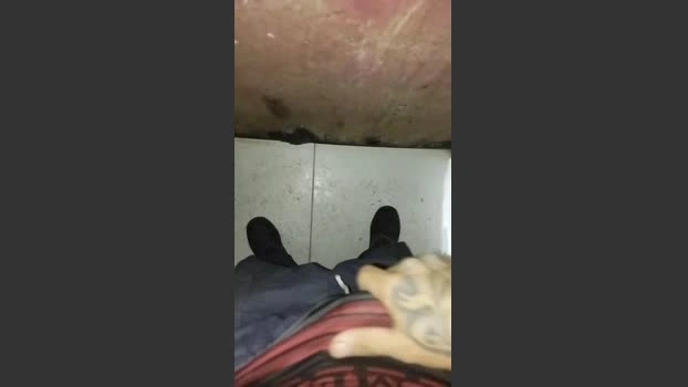 Pintor_Alpha Live 27-06-2026 Gay Cam beautiful hot