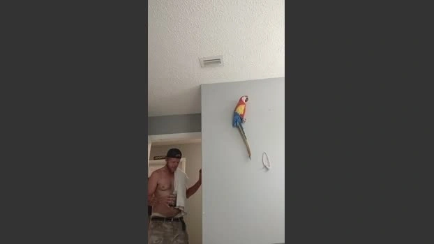 Tmoney1995 Live 27-06-2026 Gay Cam ass bigcock