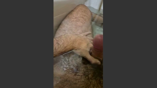 sea_hoy1 Live 27-06-2026 Gay Cam amateur toy
