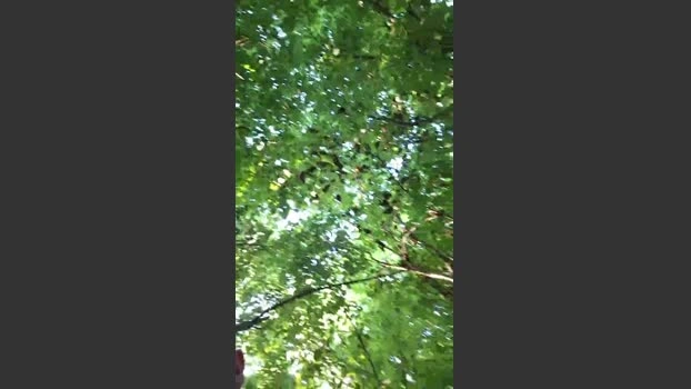 Socke72 Live 28-06-2026 Gay Cam suckcock beauty
