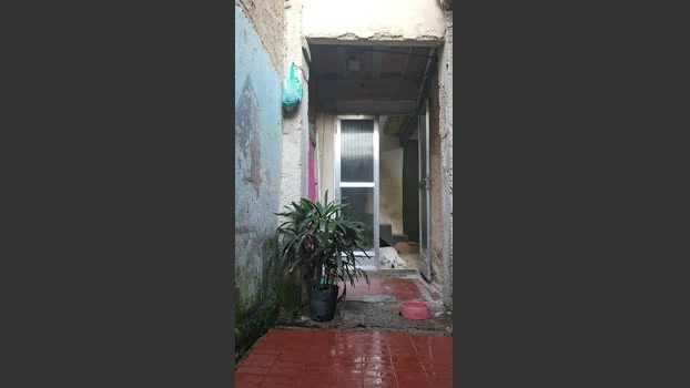 RealCriadoRio Live 29-06-2026 Gay Cam suckcock striptease