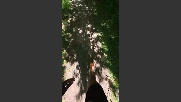 bulgingarmy Live 28-06-2026 Gay Cam bigload sexyfeet